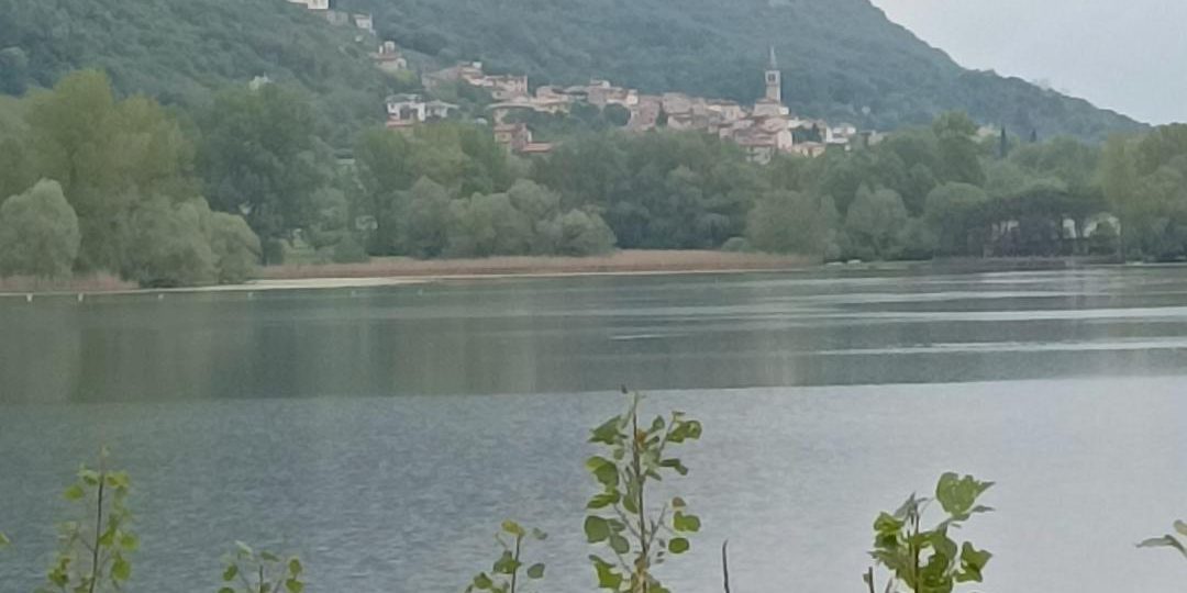 coaching camminando – walking coaching